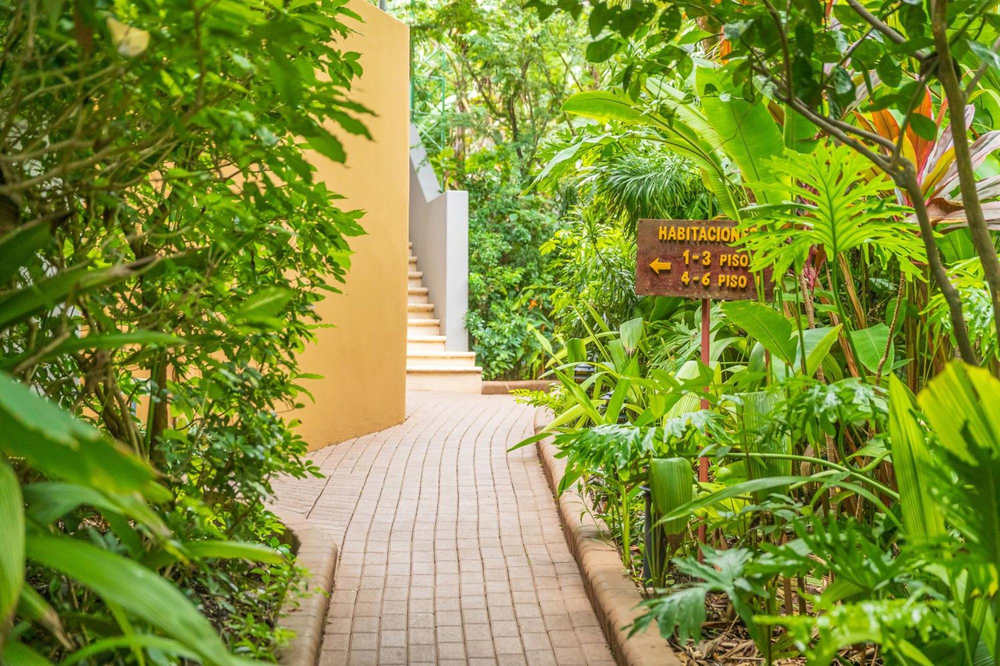 Hotel Boutique Lagarta Lodge ノサラ エクステリア 写真