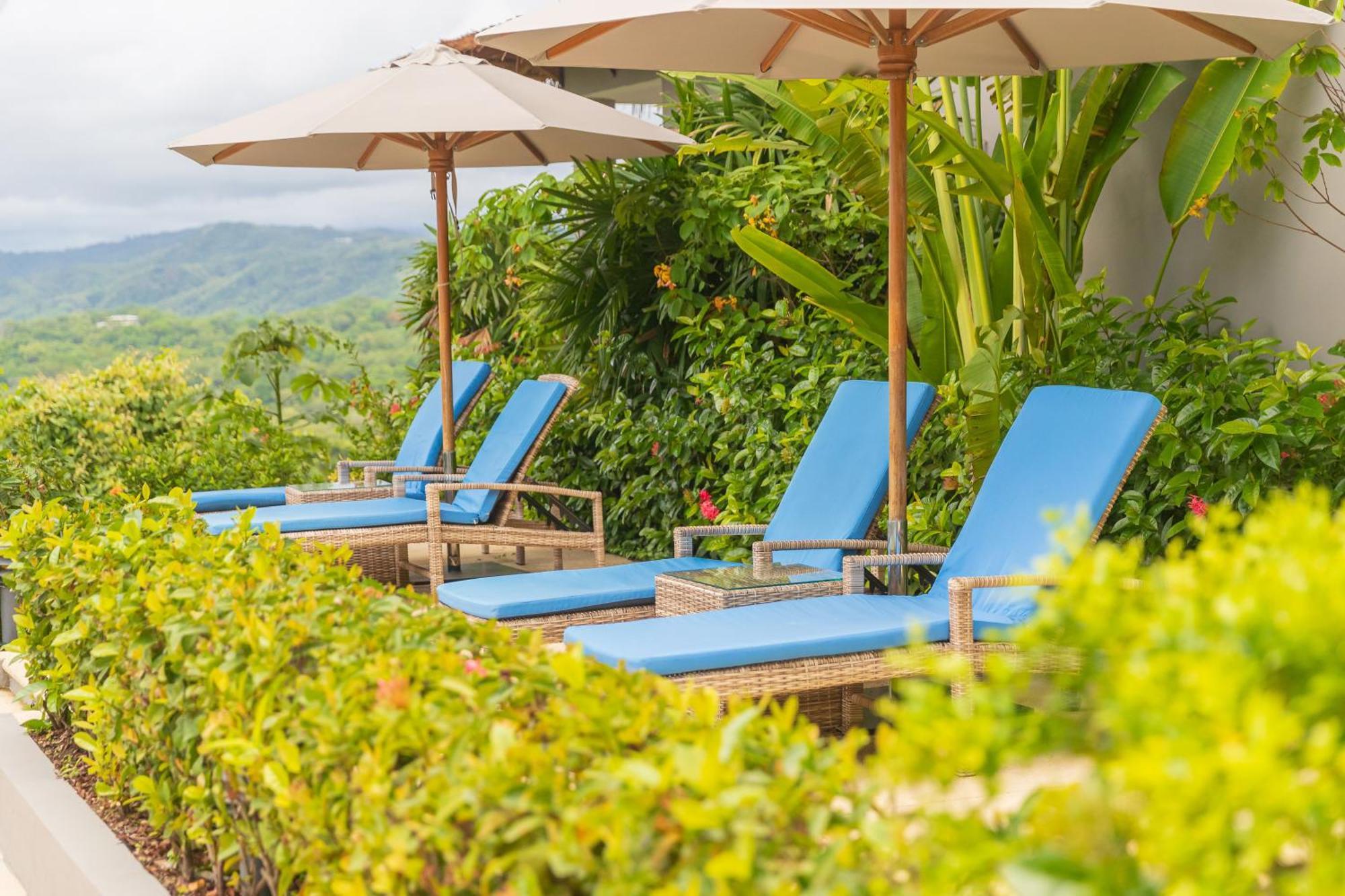 Hotel Boutique Lagarta Lodge ノサラ エクステリア 写真